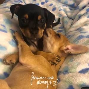 Meet your Posher, Wanda